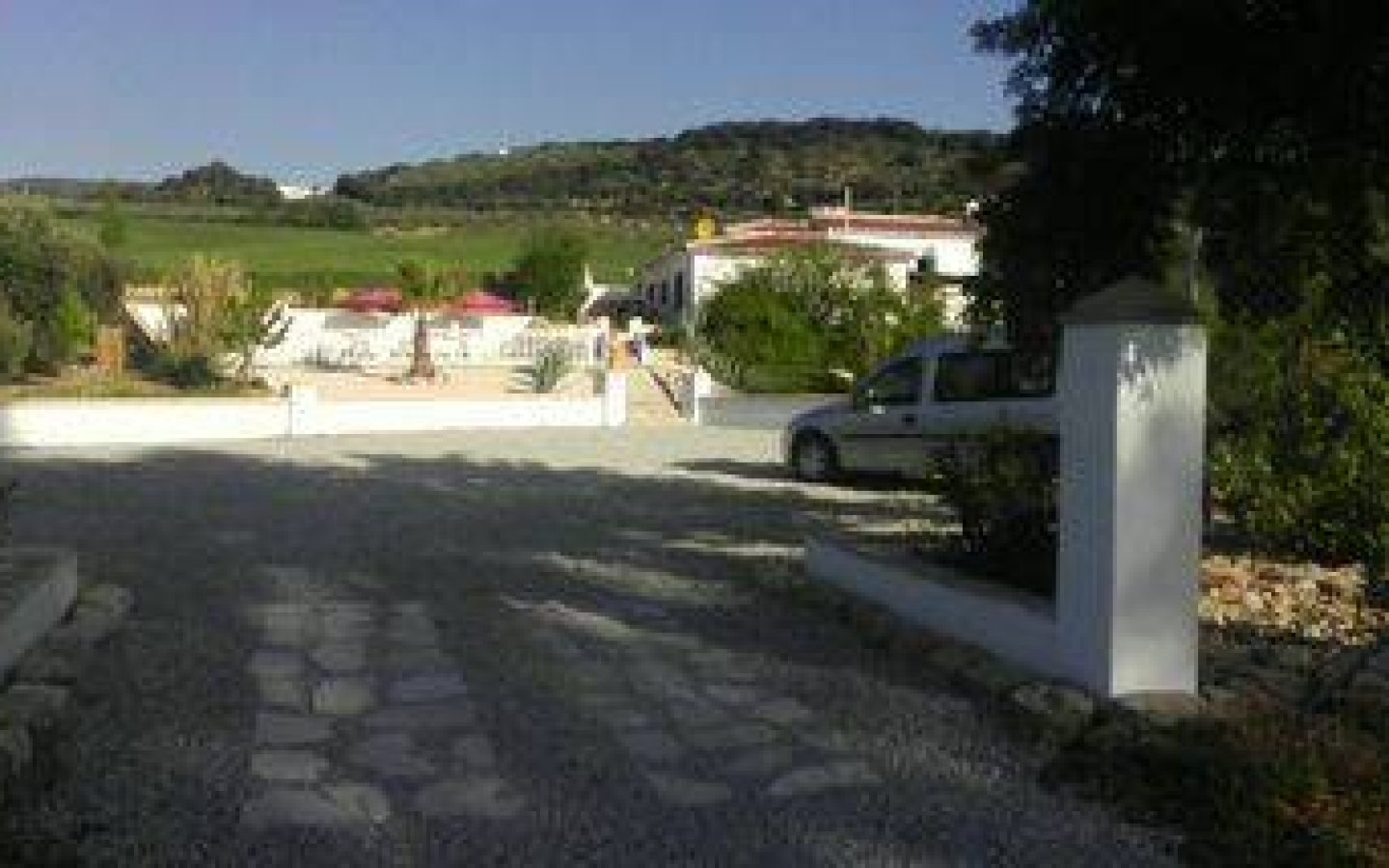 IMG-20250226-WA0028