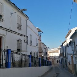 IMG-20250312-WA0040