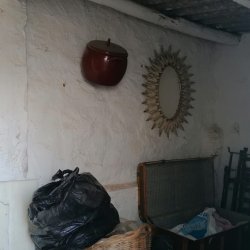 IMG-20250312-WA0063