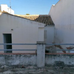 IMG-20250312-WA0064