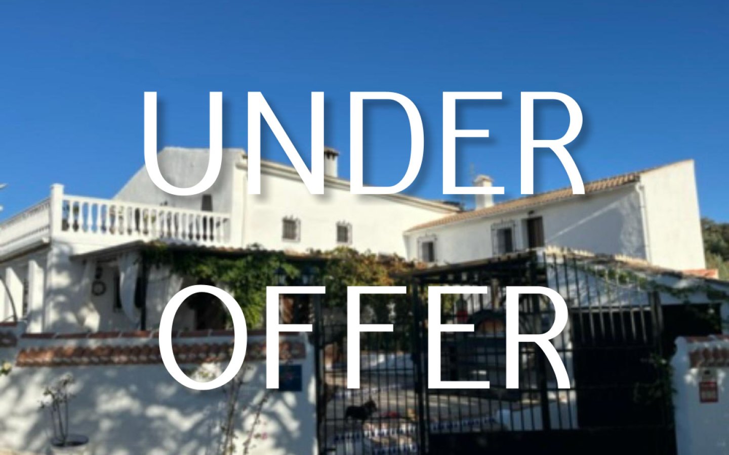 Cortijo Bueno Vino- Castillo de Locubin