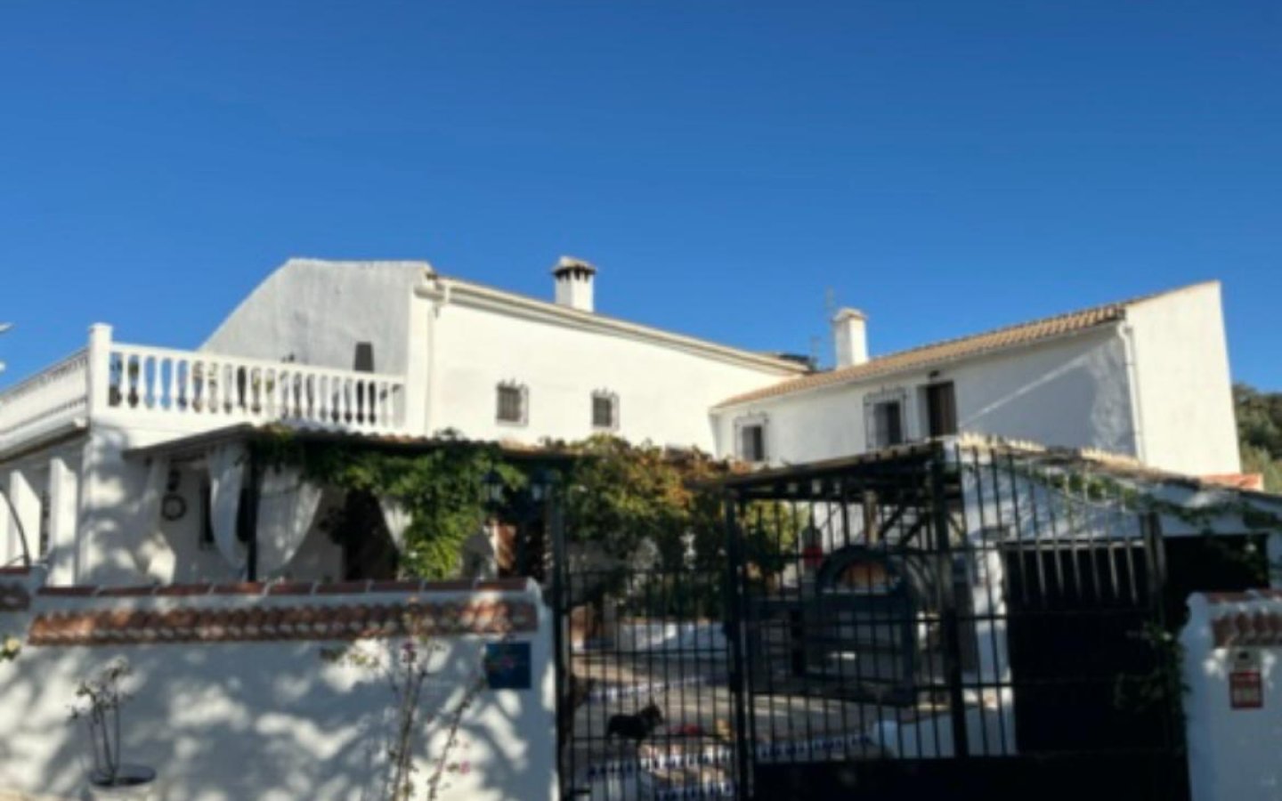 Cortijo Bueno Vino- Castillo de Locubin