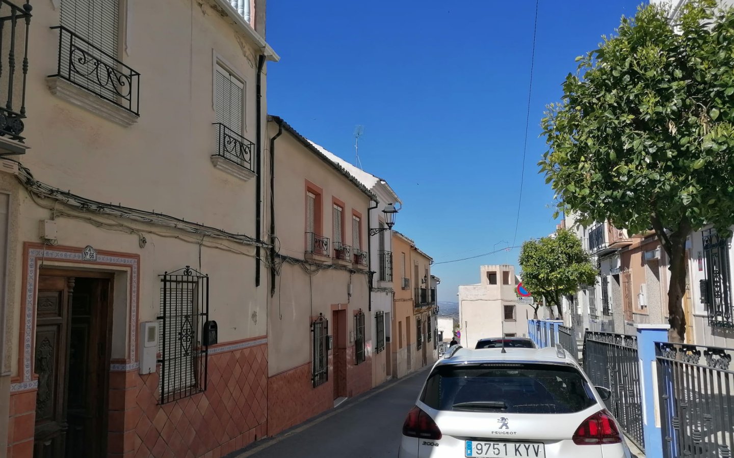 IMG-20250330-WA0011