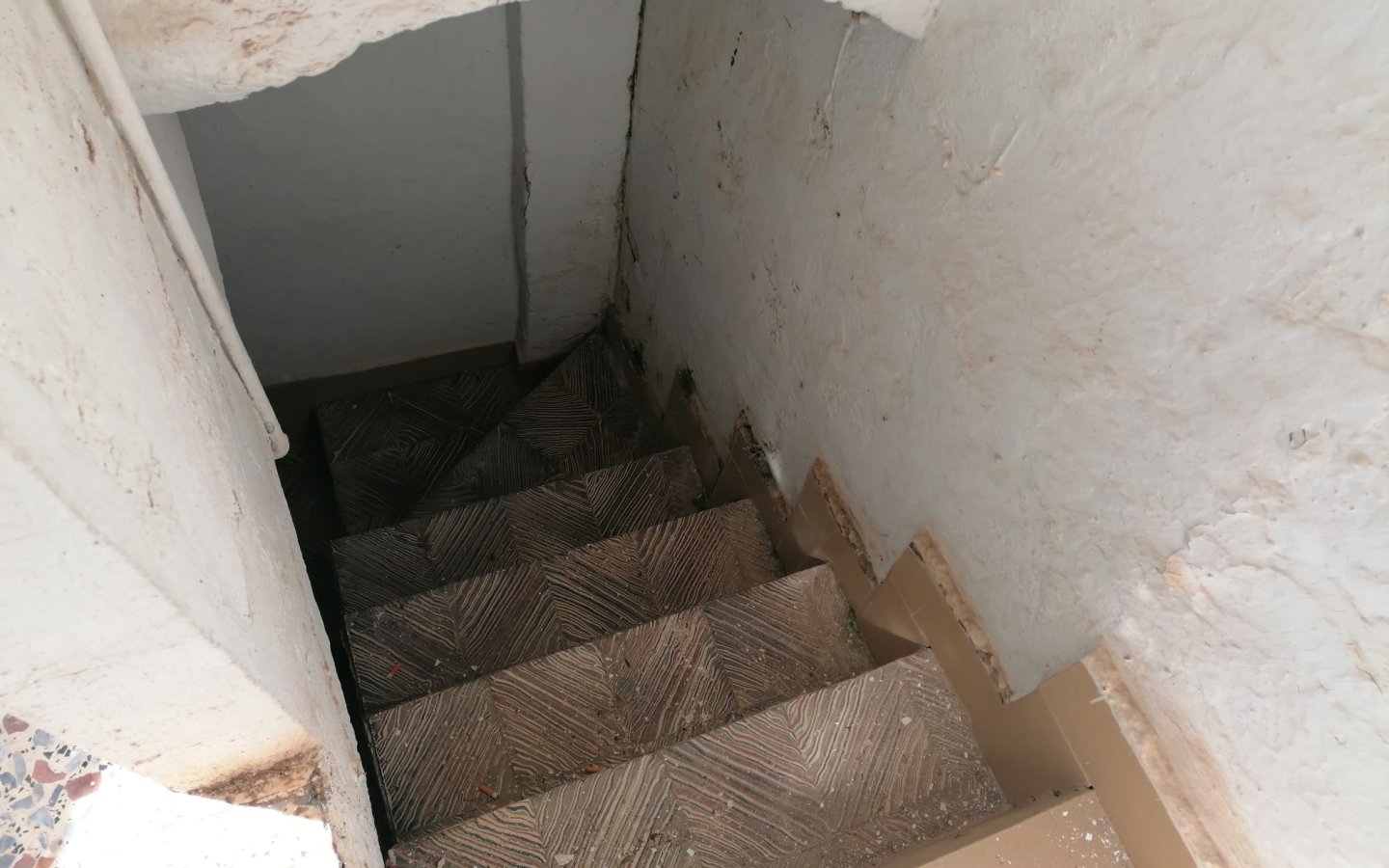 IMG-20250330-WA0024
