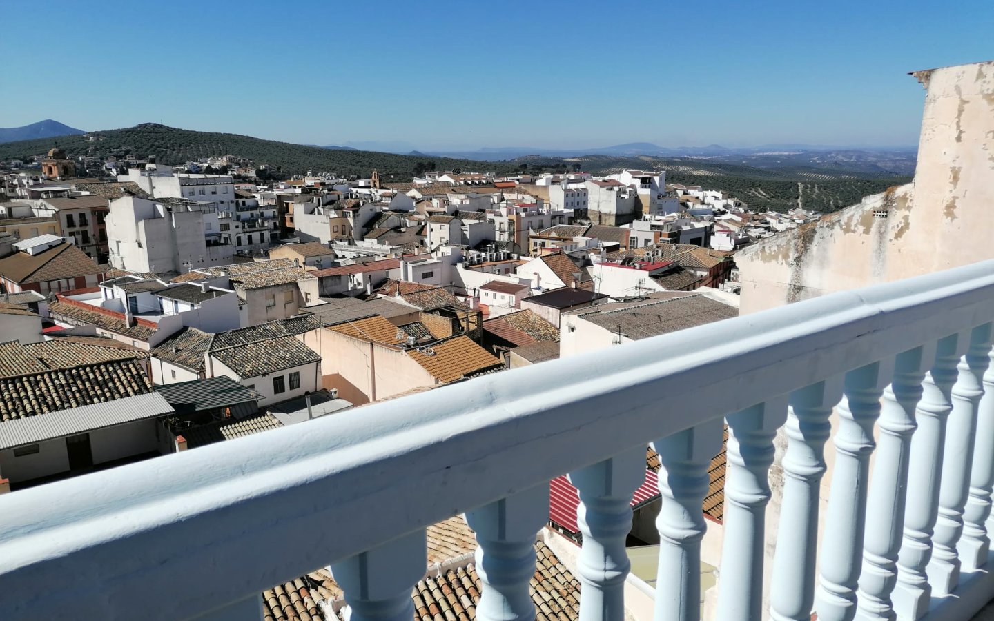 IMG-20250330-WA0037