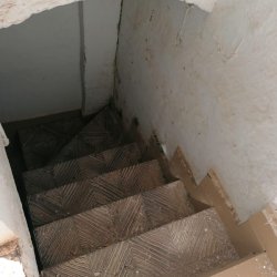 IMG-20250330-WA0024