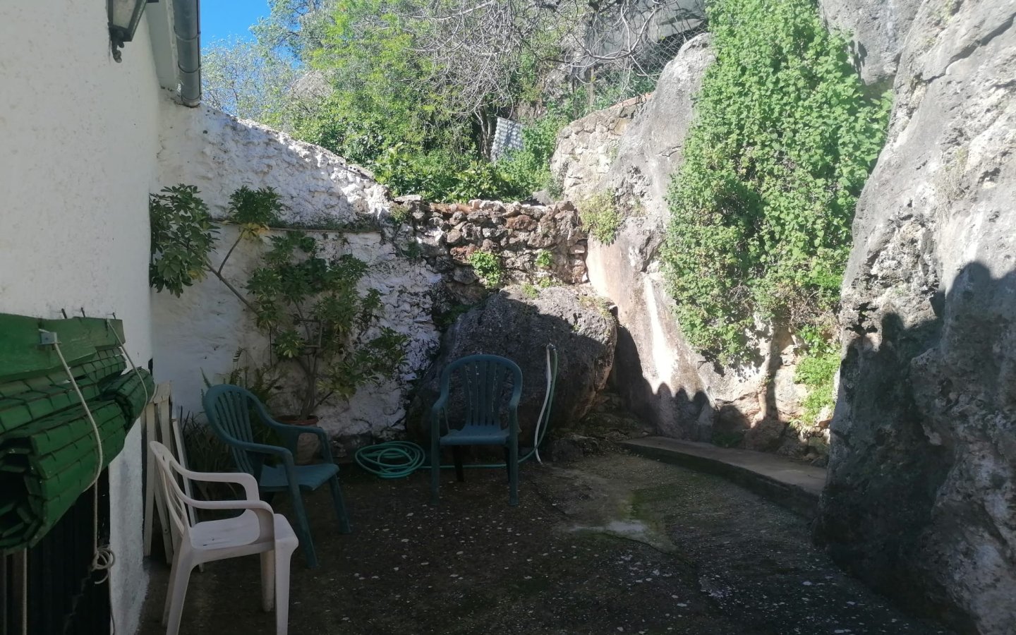IMG-20250331-WA0022