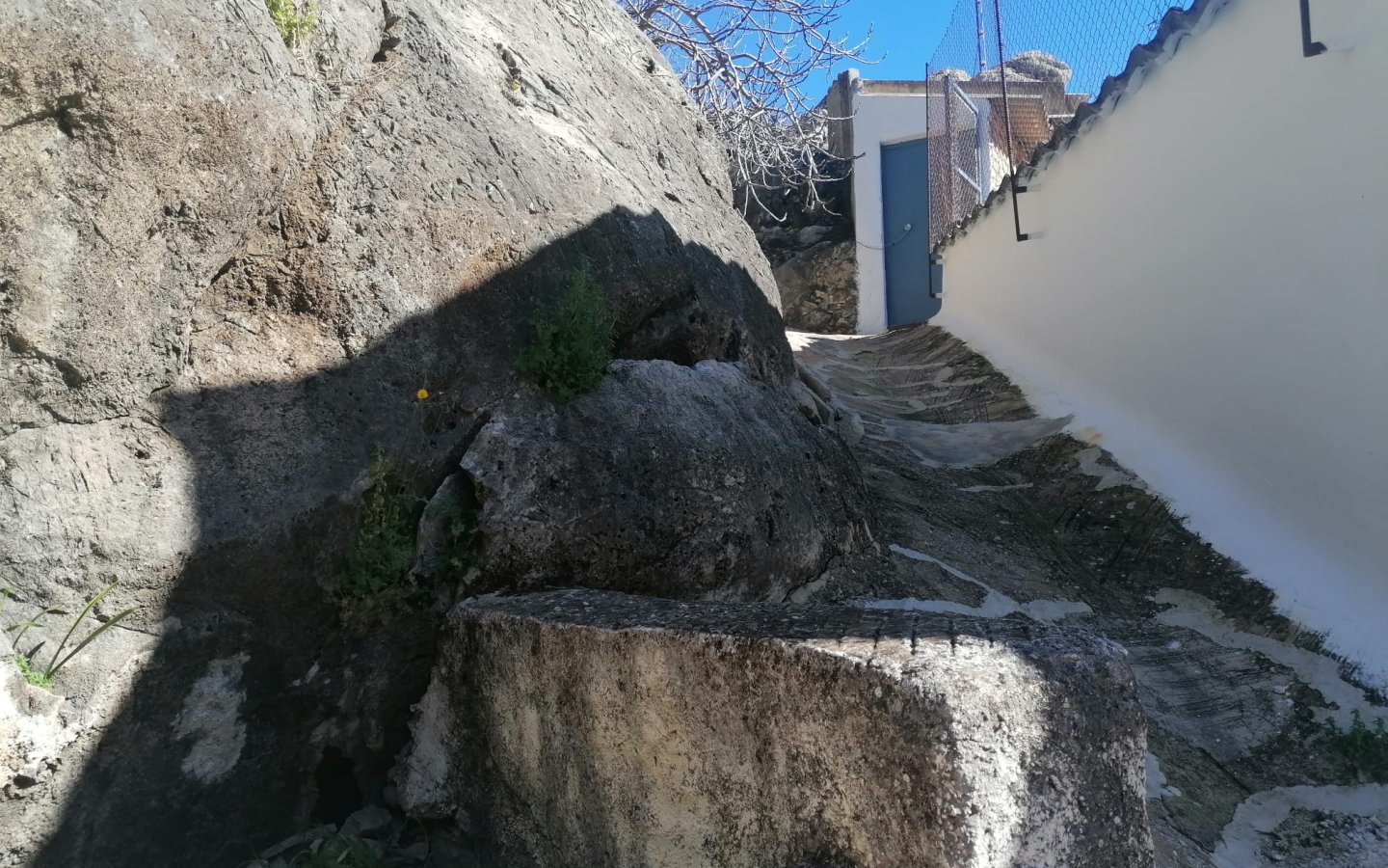 IMG-20250331-WA0024