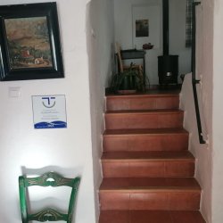 IMG-20250331-WA0013