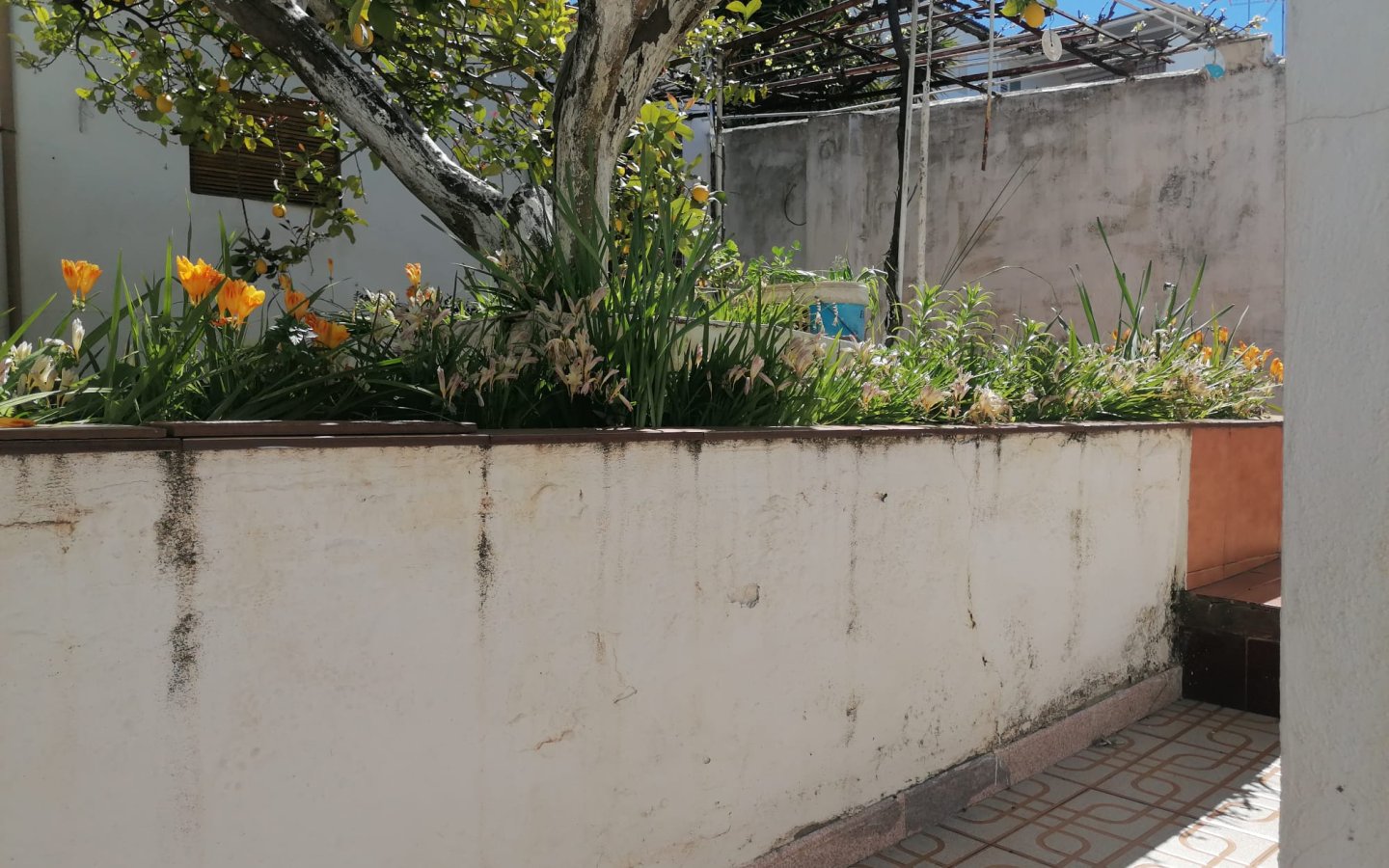 IMG-20250407-WA0039