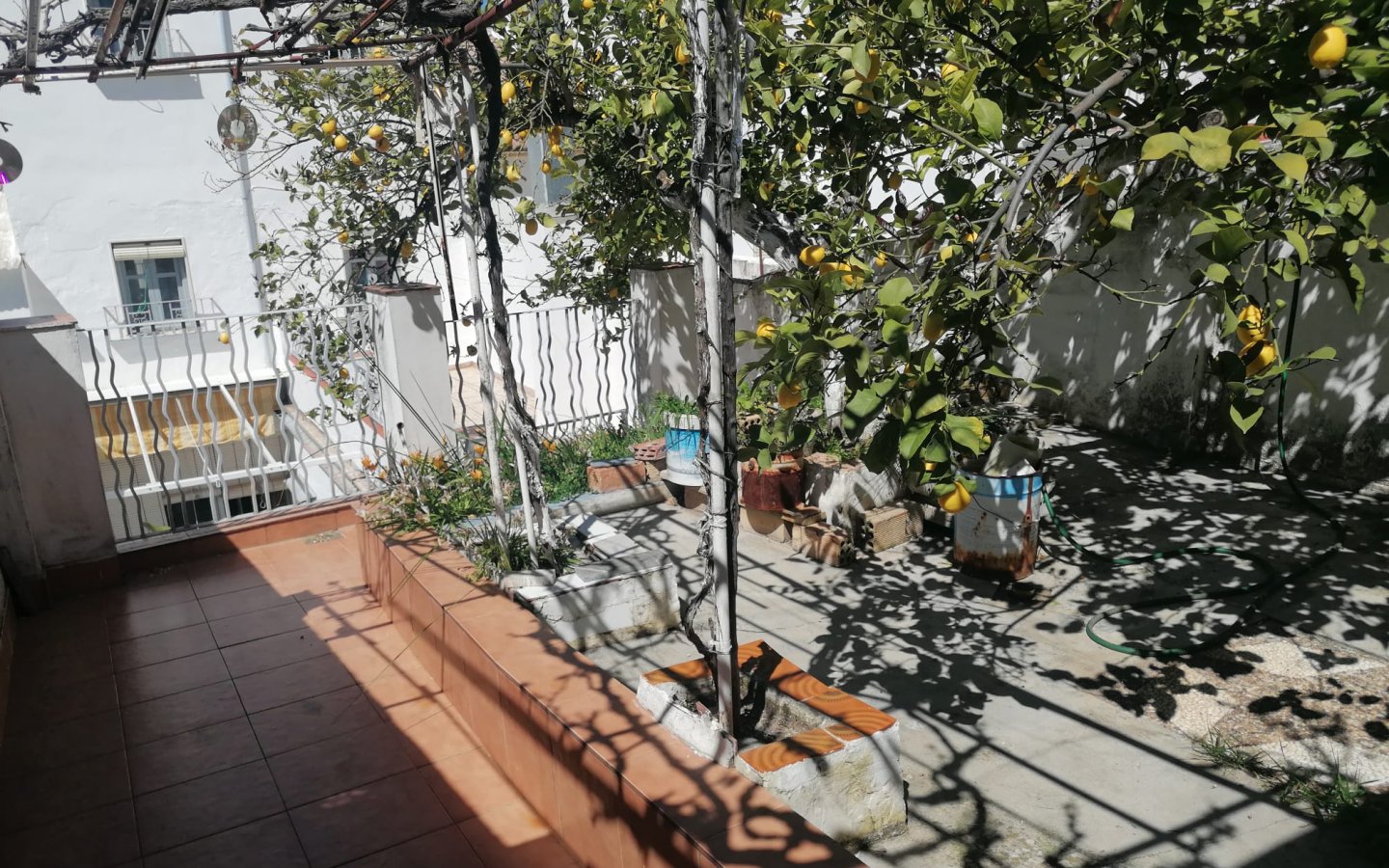 IMG-20250407-WA0041