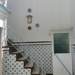 IMG-20250407-WA0031