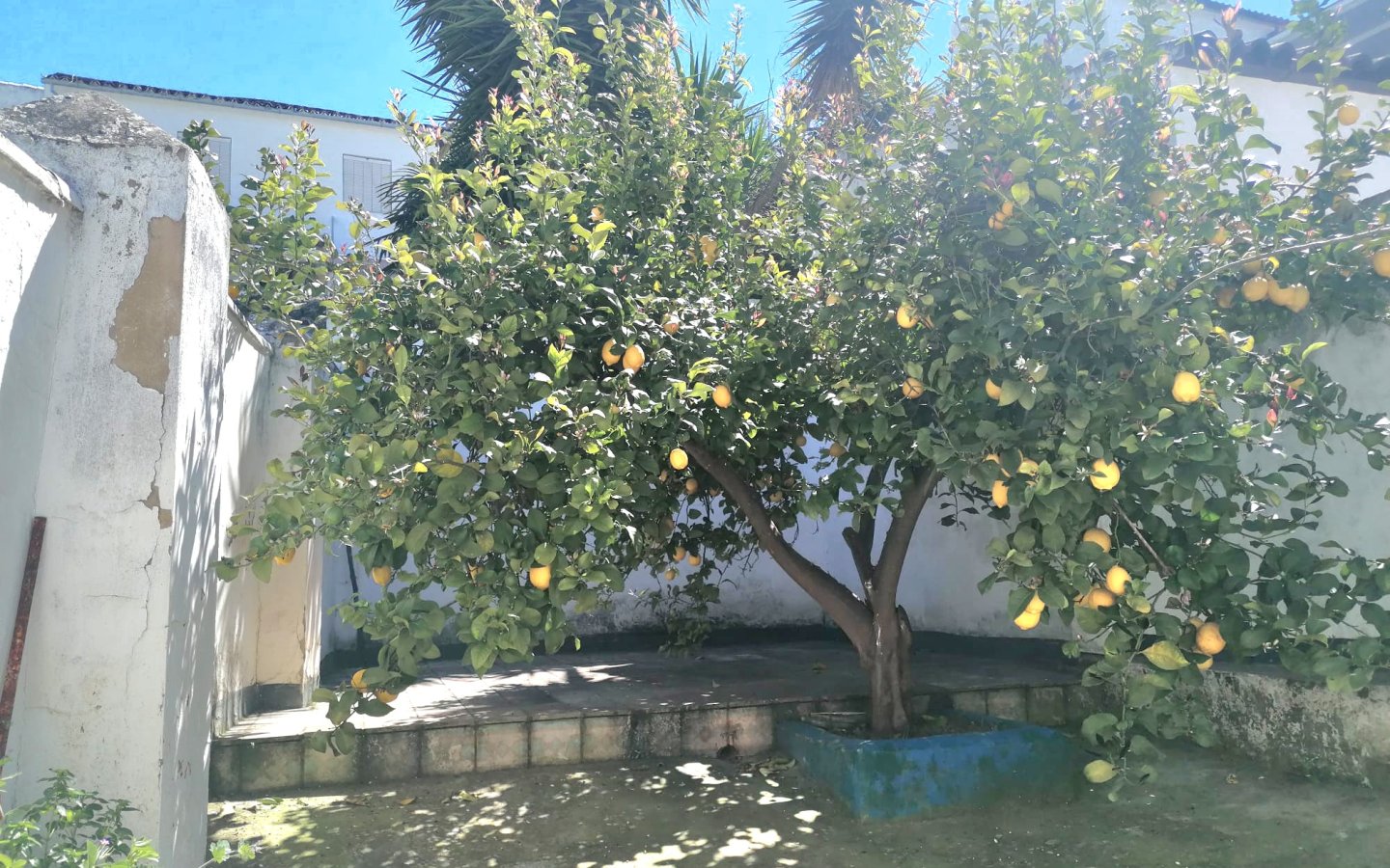 IMG-20250414-WA0027