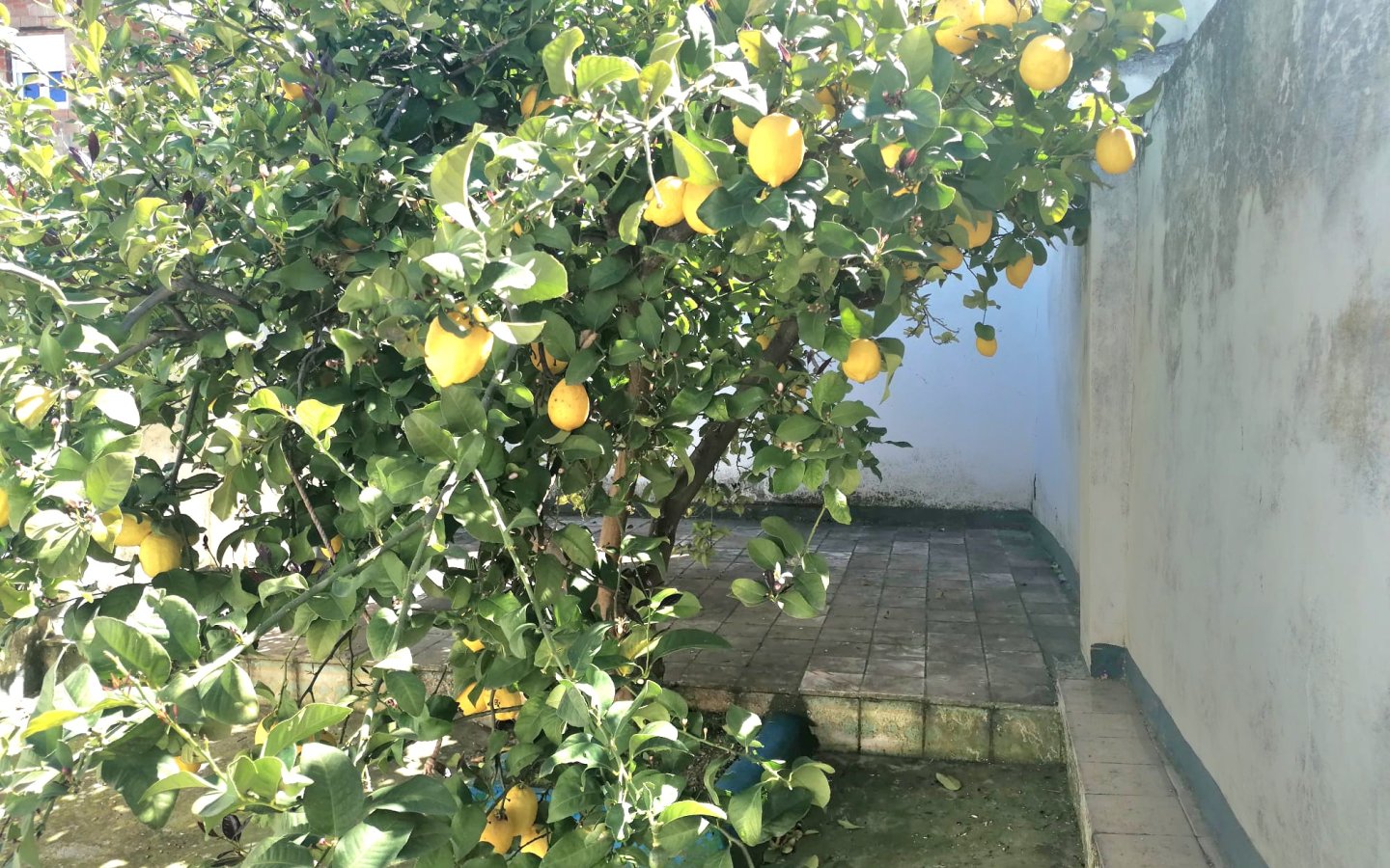 IMG-20250414-WA0029