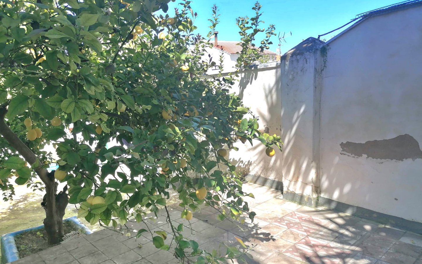 IMG-20250414-WA0030