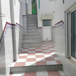 IMG-20250414-WA0020