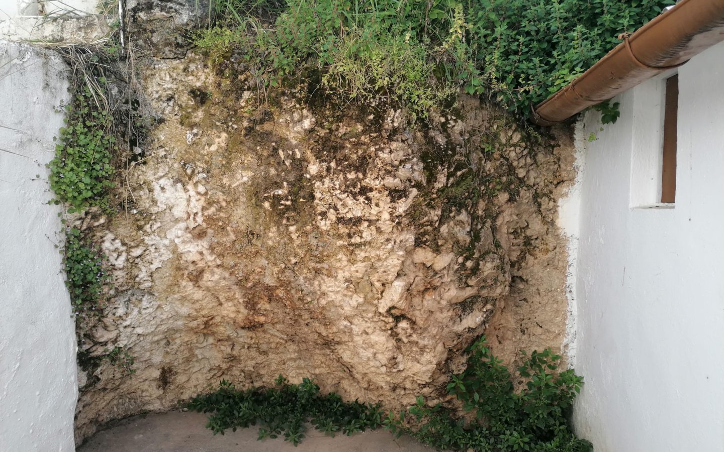 IMG-20250422-WA0025