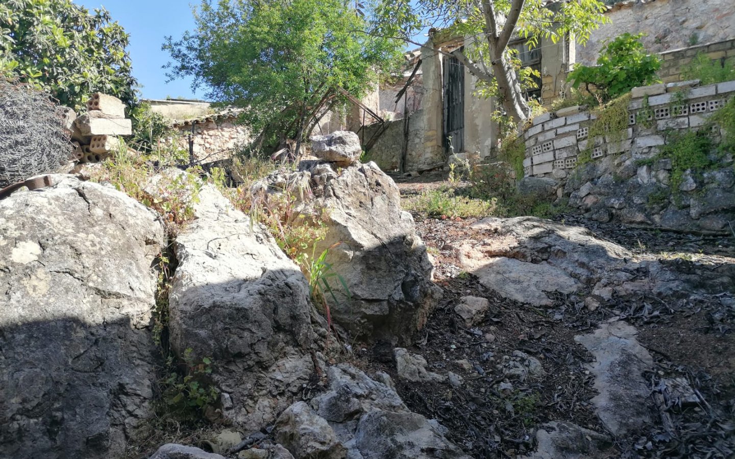 IMG-20250427-WA0043