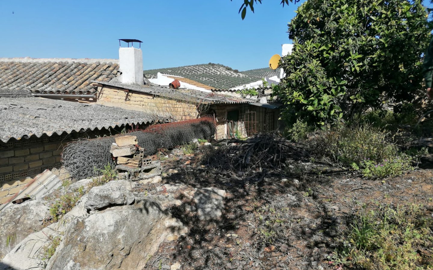 IMG-20250427-WA0044