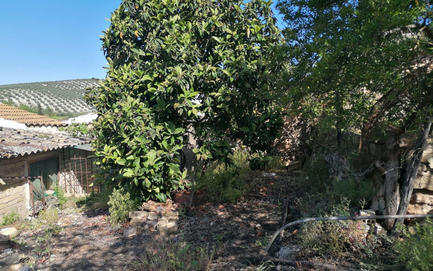 IMG-20250427-WA0046