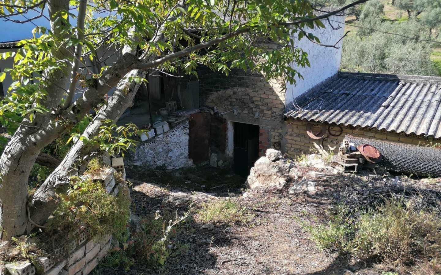 IMG-20250427-WA0047