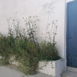 IMG-20250427-WA0035