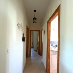 IMG_7149