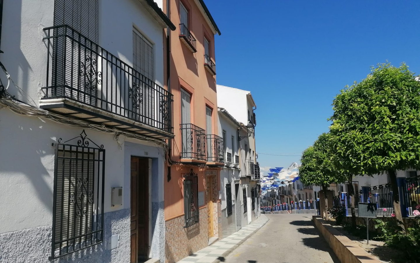 Casa Arbol-Rute