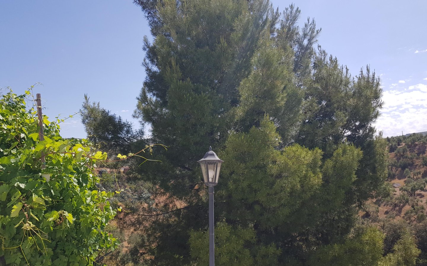 20220601_114301