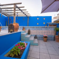 Back Patio 3