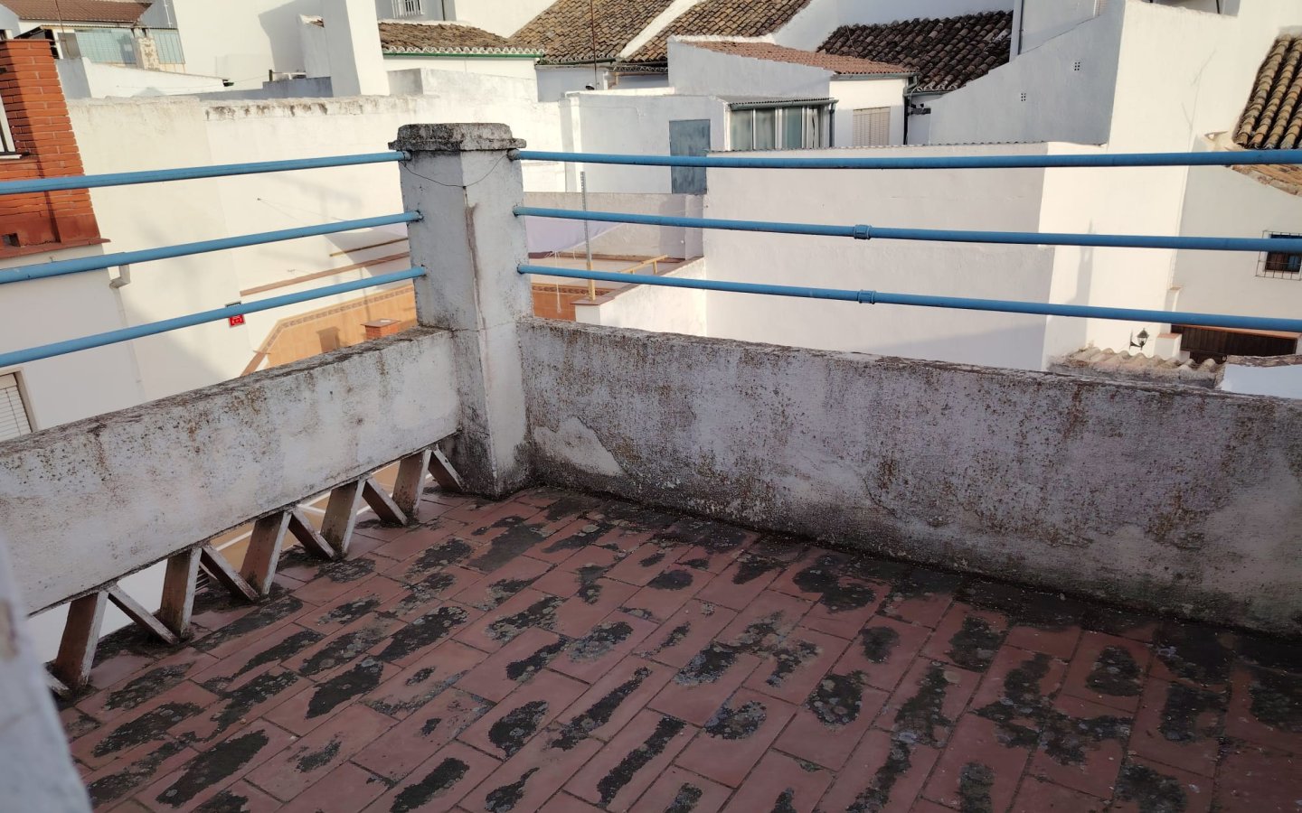 IMG-20250814-WA0038