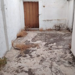IMG-20250814-WA0016