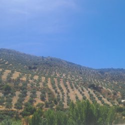 3052, Casa Khan-Algarienjo