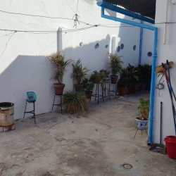 IMG-20250910-WA0015