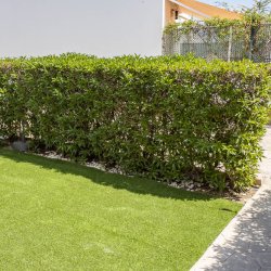 VZ1219 Atico Las Buganvillas - 5