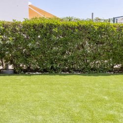 VZ1219 Atico Las Buganvillas - 8