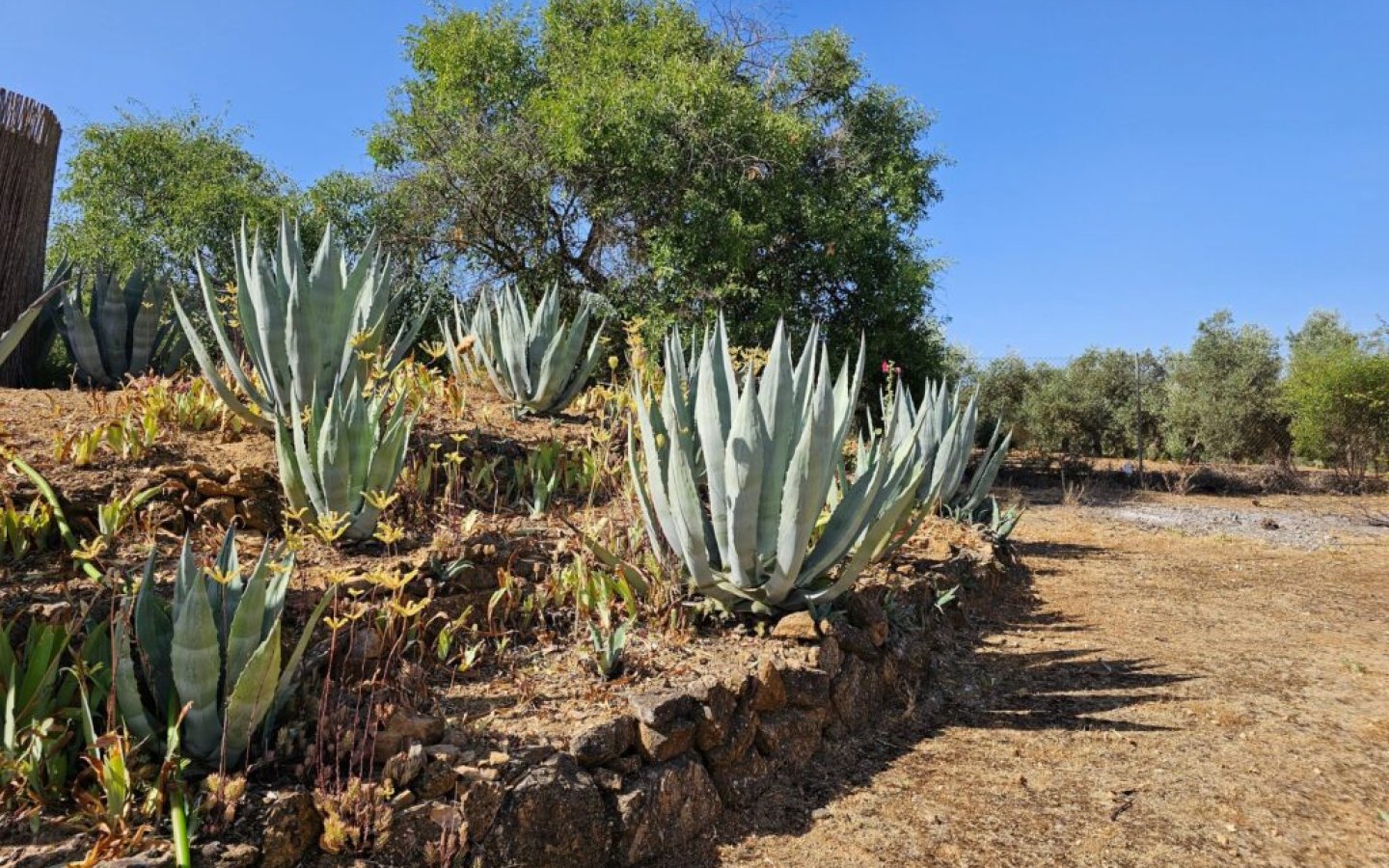 20250714_104007-1024x768