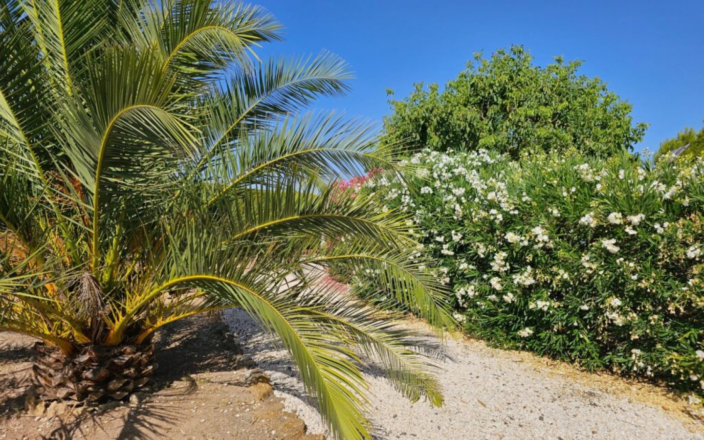 20250714_104106-1024x768