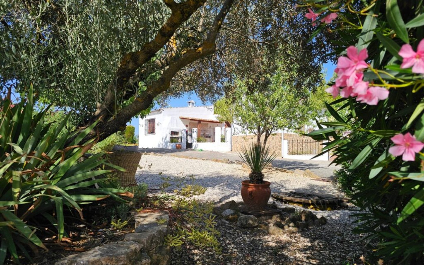 20250714_104227-1024x768