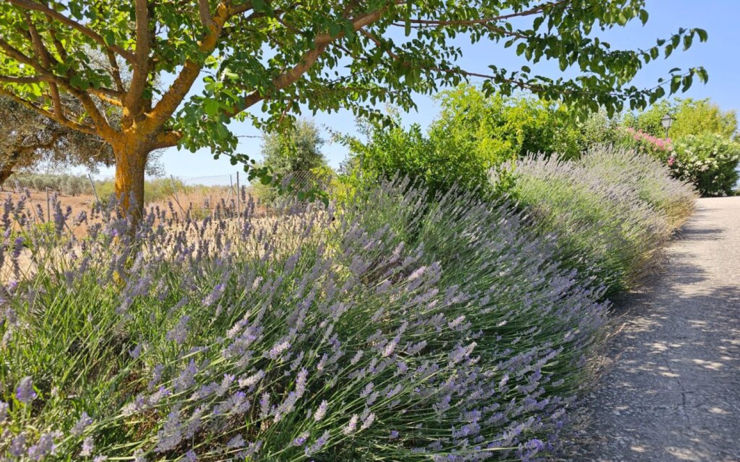 20250714_110550-1024x768