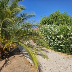 20250714_104106-1024x768