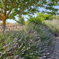 20250714_110550-1024x768