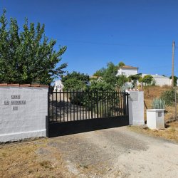 20250714_110656-1024x768