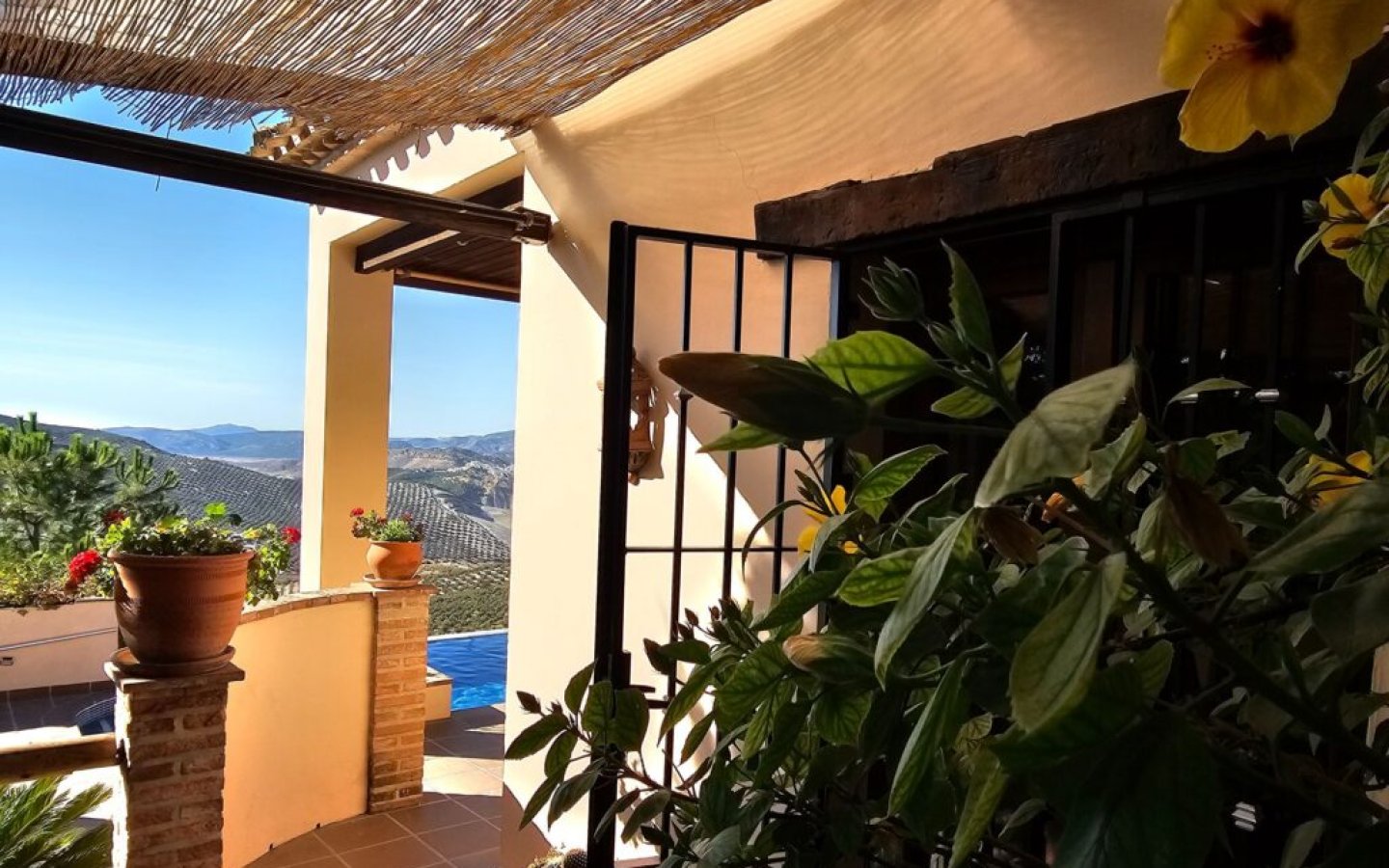 20250901_181905-1024x768