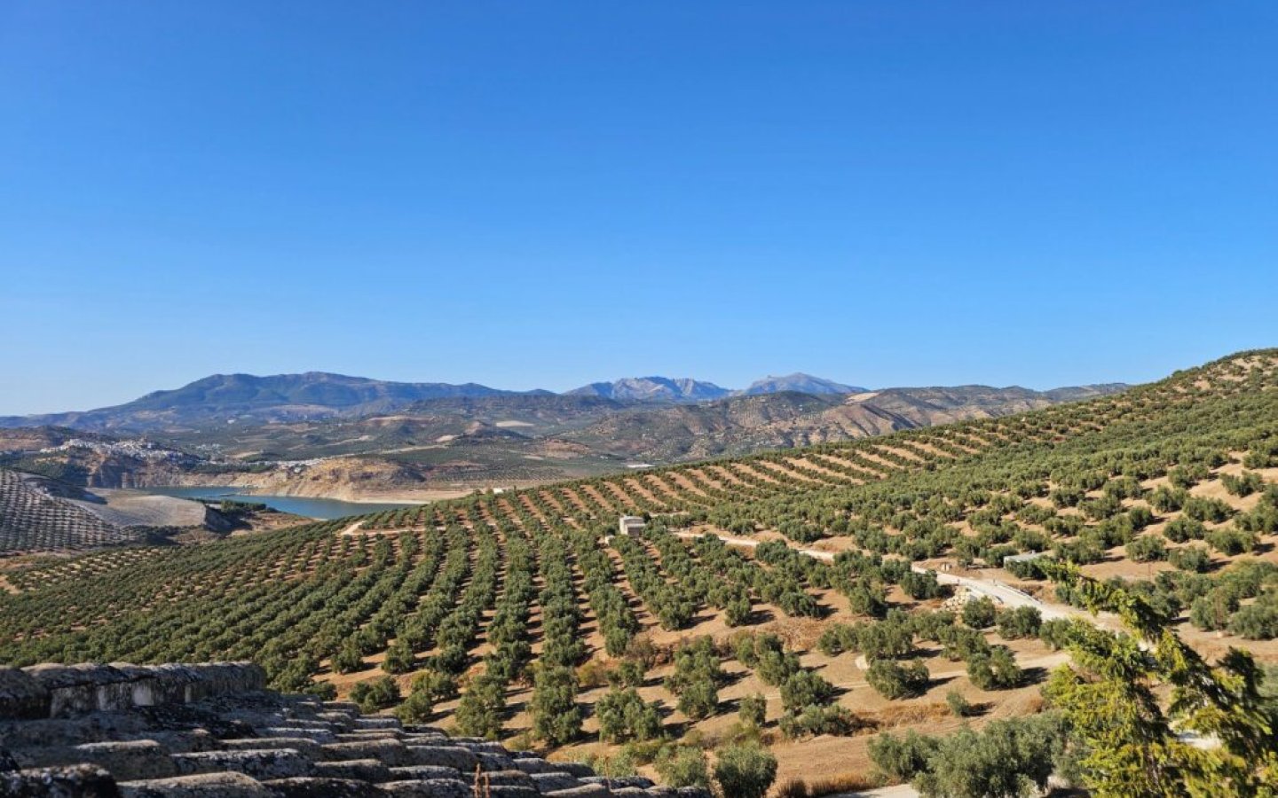 20250901_183245-1024x768