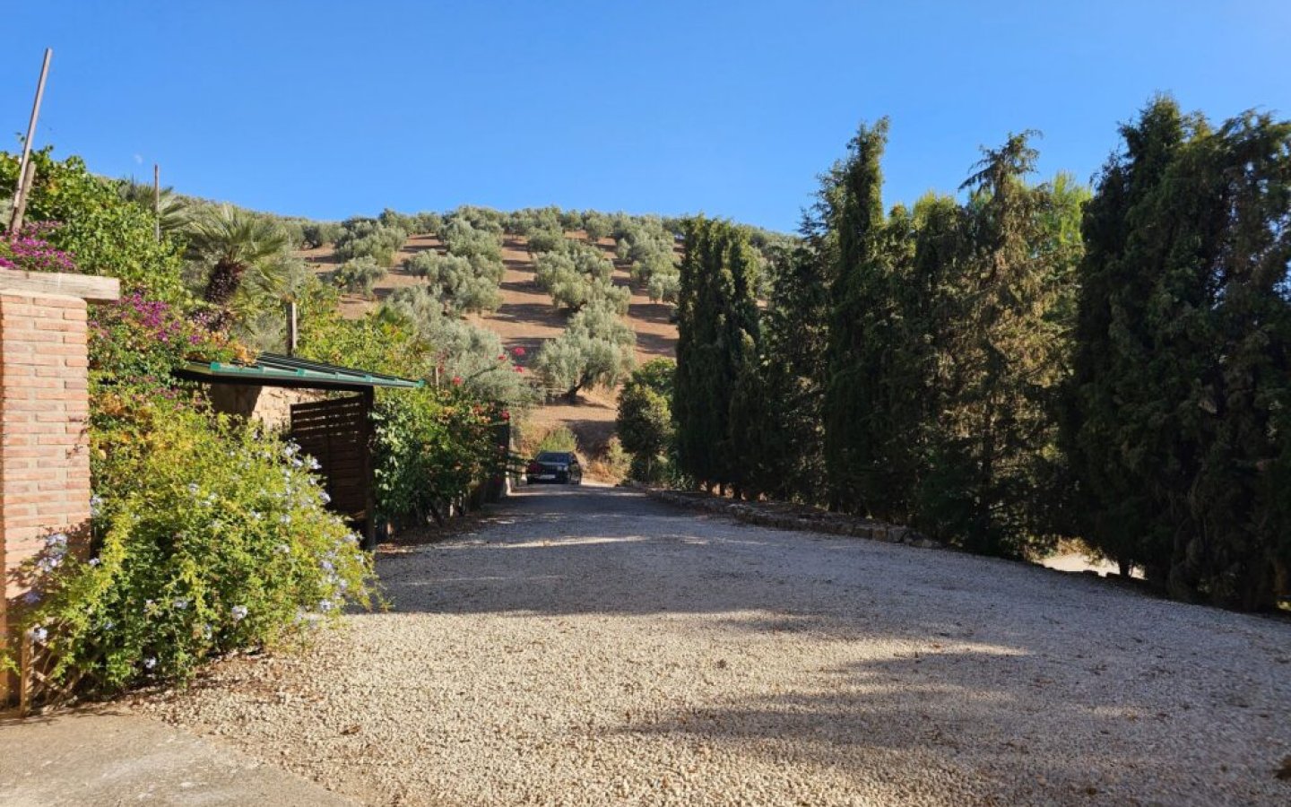 20250901_184245-1024x768