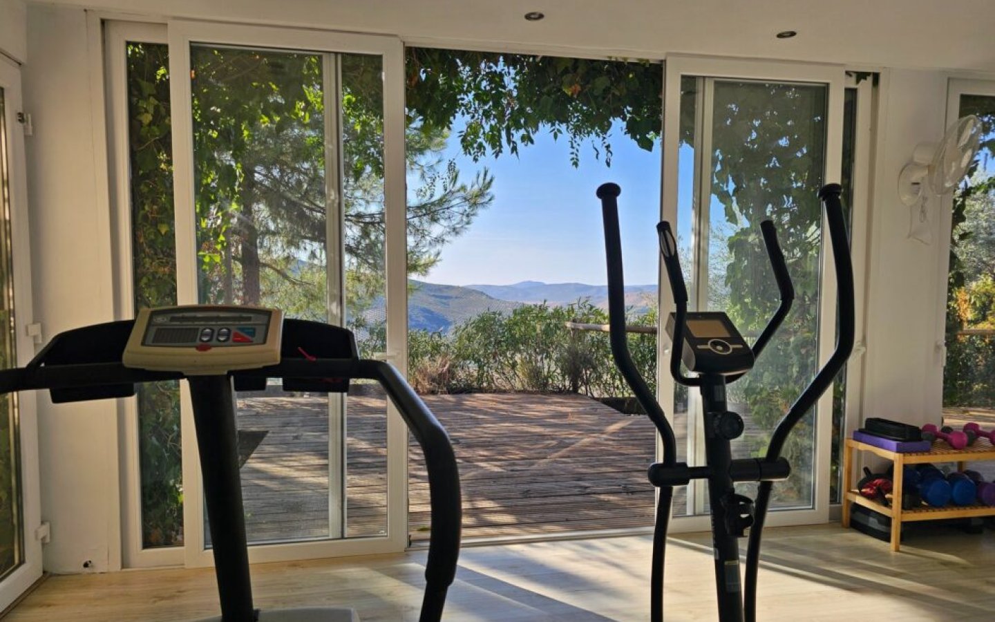 20250901_184727-1024x768