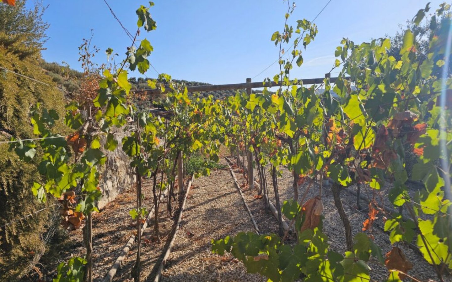 20250901_184901-1024x768