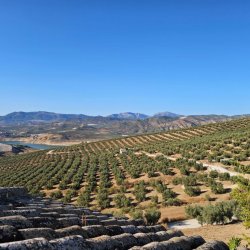 20250901_183245-1024x768