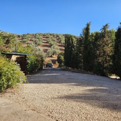 20250901_184245-1024x768